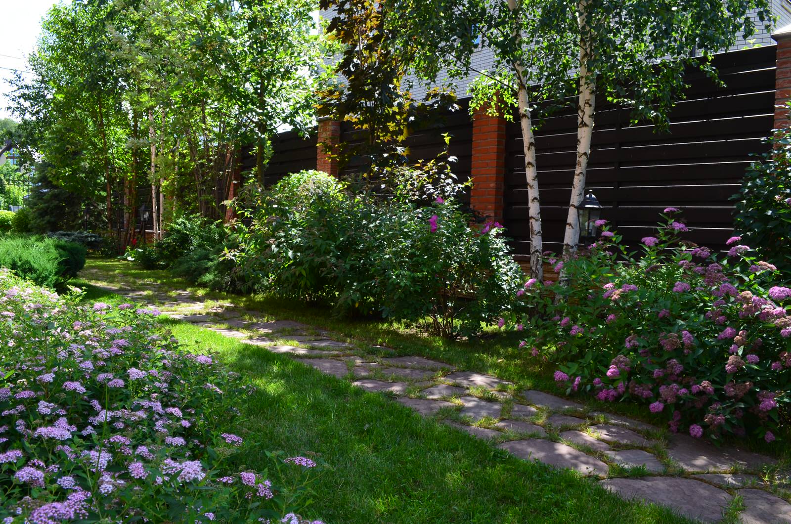 Сад в Потапово