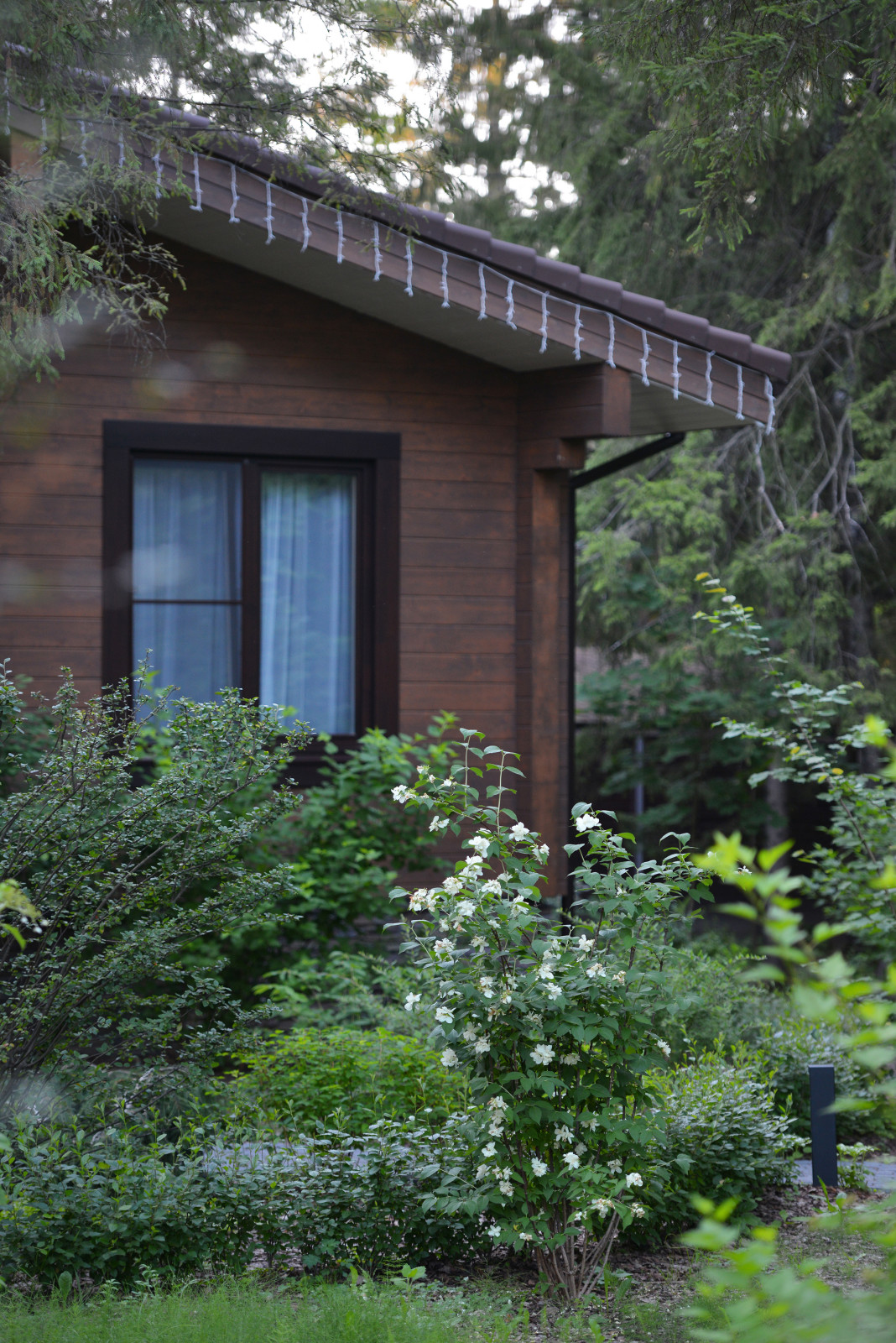 Благоустройство лесной (частной) территории