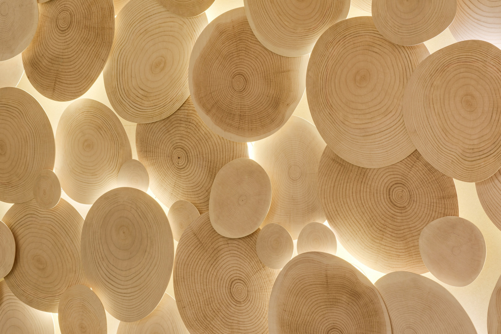 Обложка проекта: The Varenik