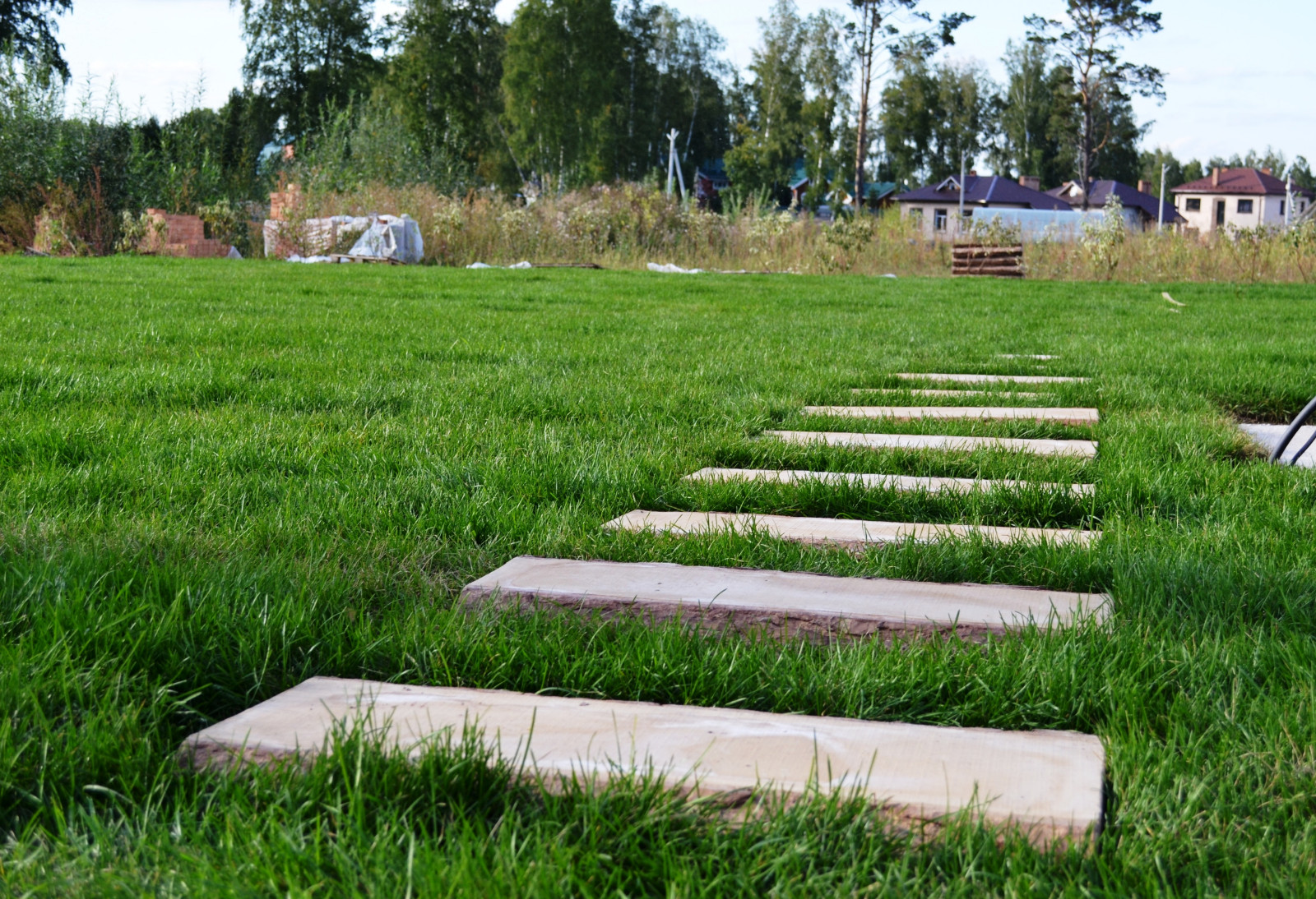 Обложка проекта: Современный сад в Академгородке
