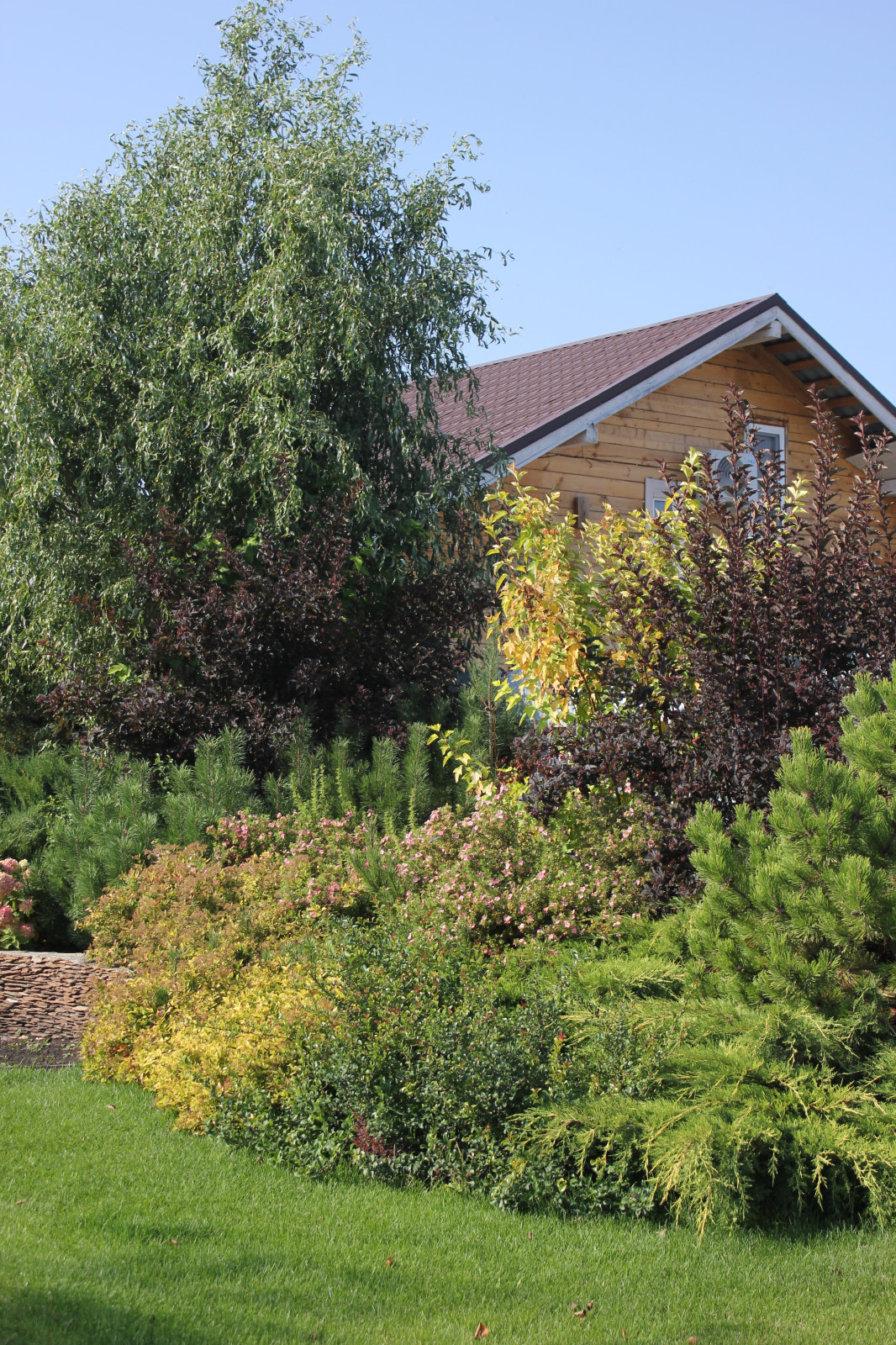 В гостях у Сказки