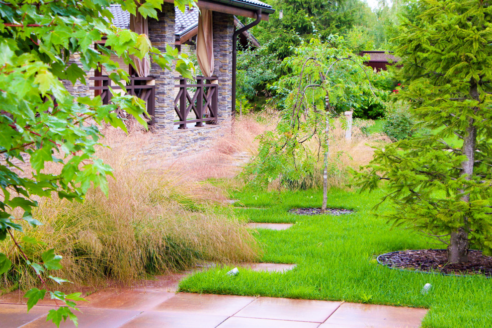 Петровское, 2018-2020 гг.