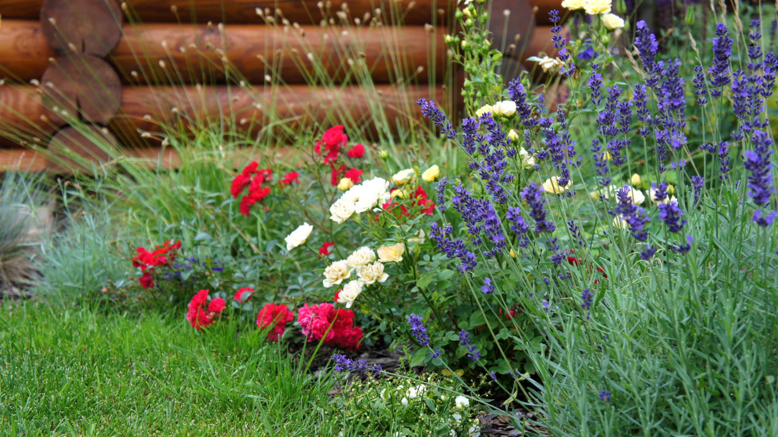 Цветники и композиции крупным планом