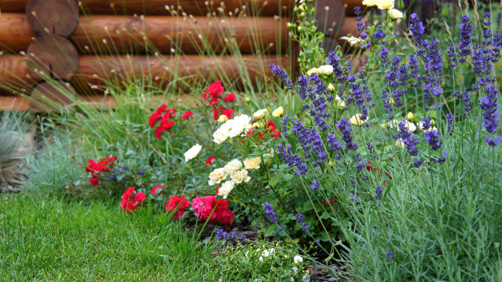 Цветники и композиции крупным планом