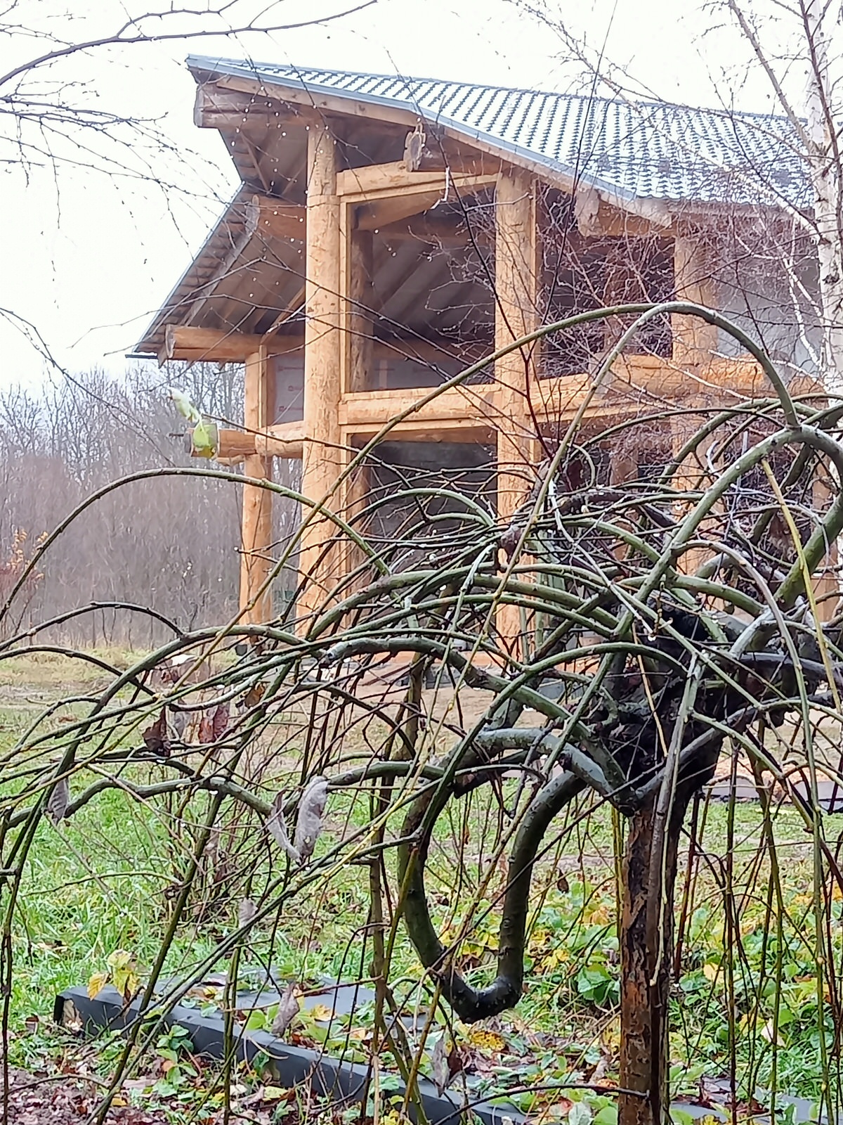 Загородный дом