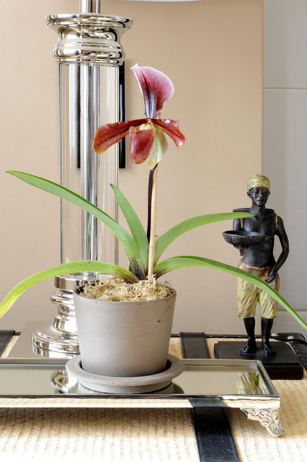 Квартира, 220м2