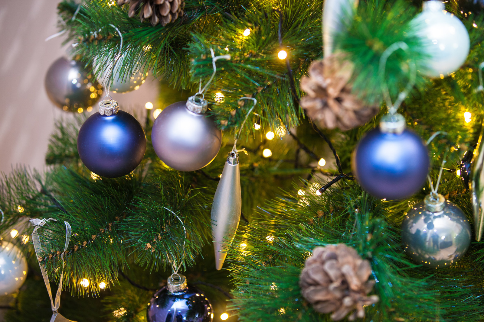 Гостиная на контрастах для программы "Фазенда" Первый Канал