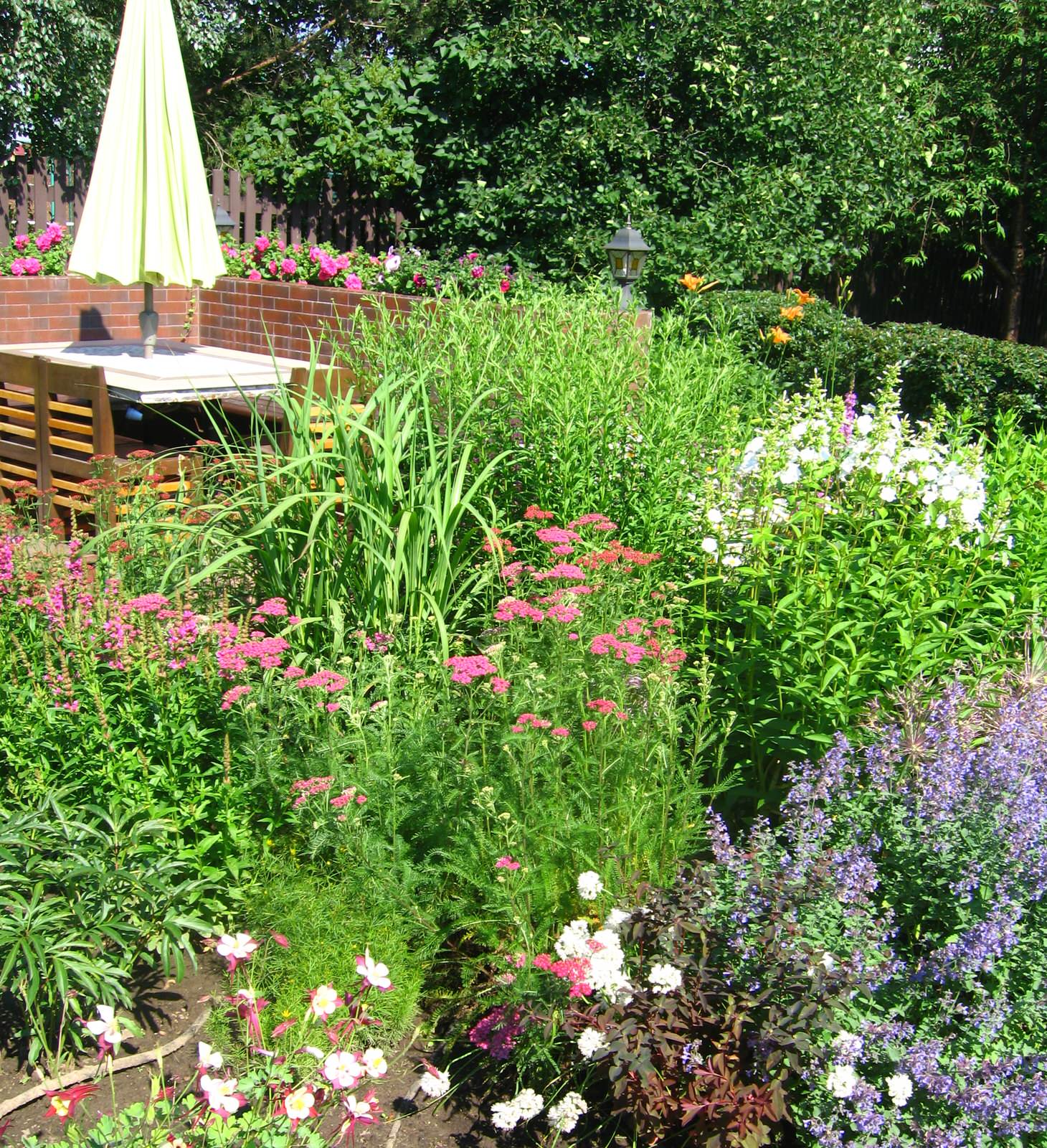 Kitchen garden