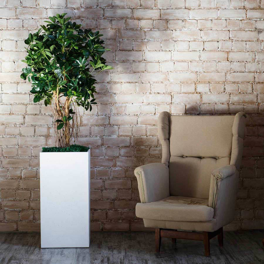 Интерьерные кашпо