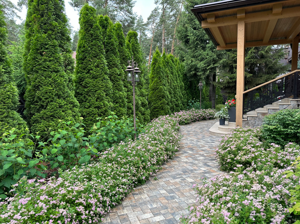 Заповедный Бор 2