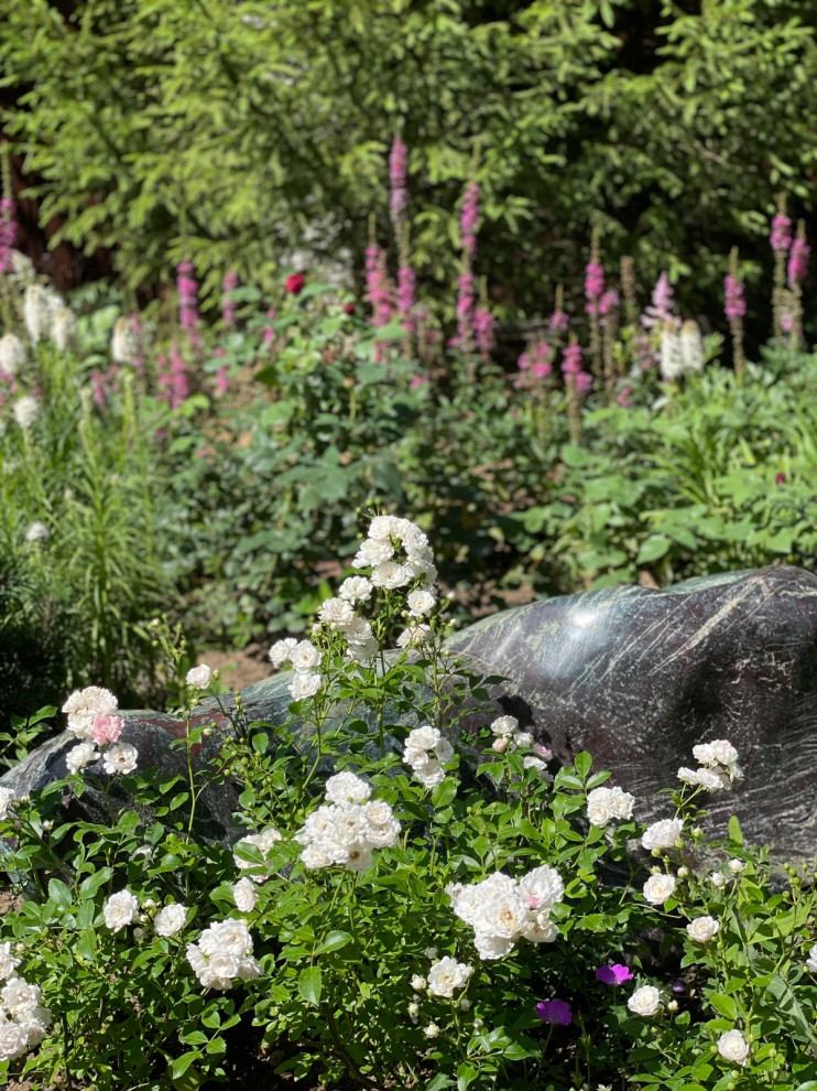 Обложка проекта: КП Успенские Поляны