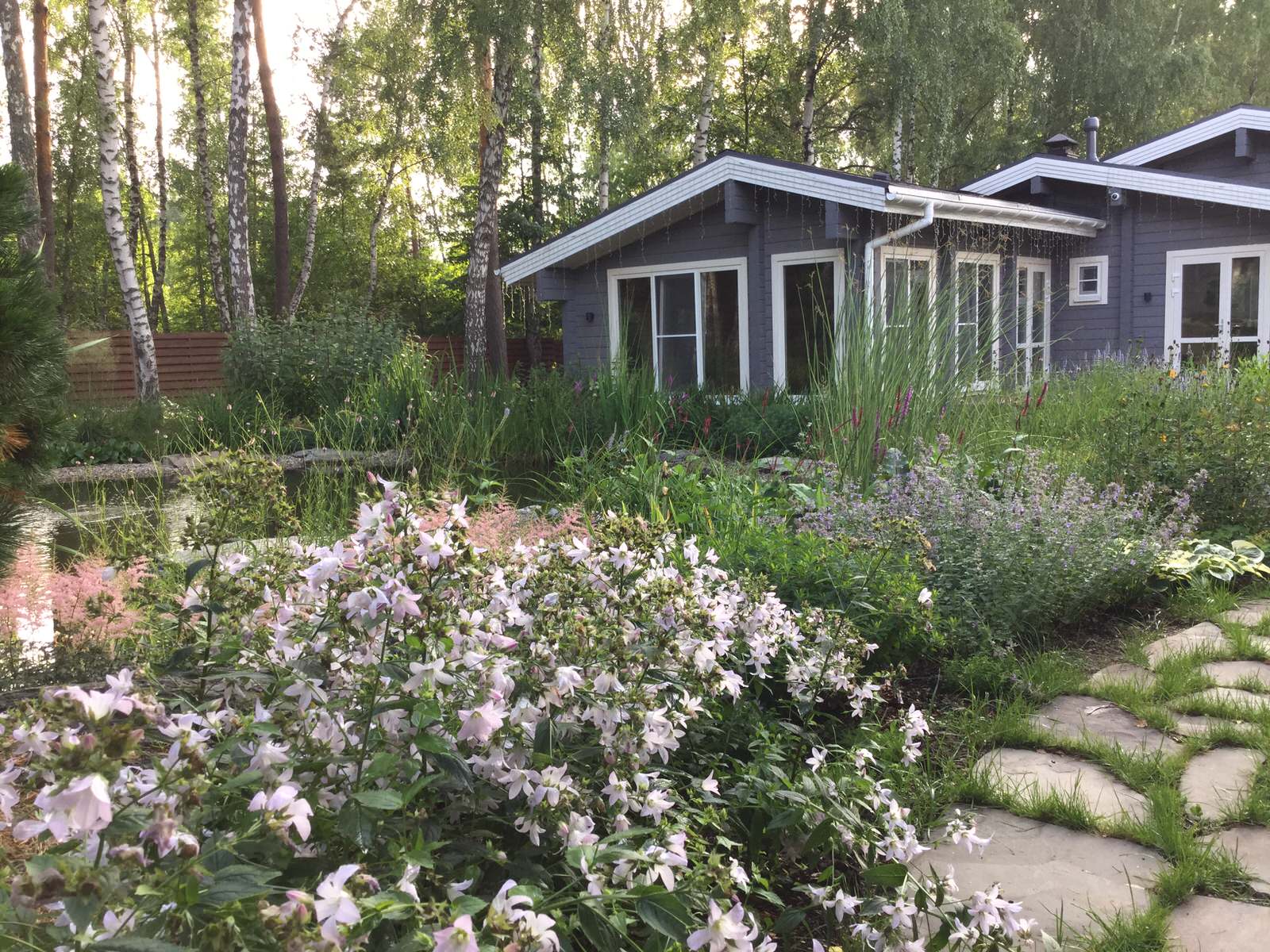 Озеро в лесу. Посёлок Приволье.