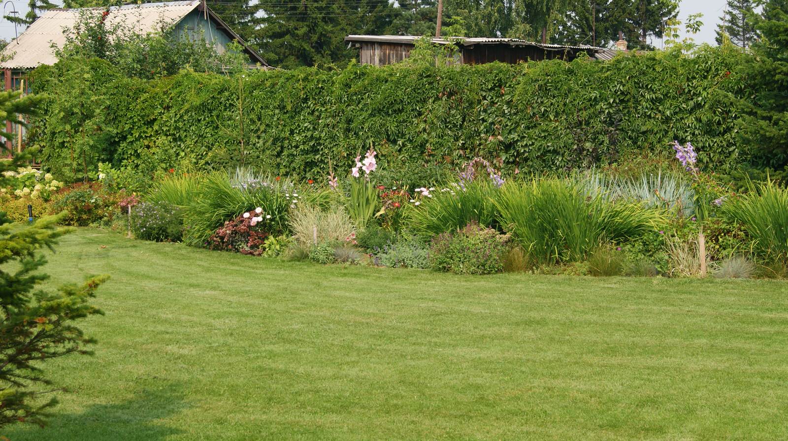 Скандинавские мотивы