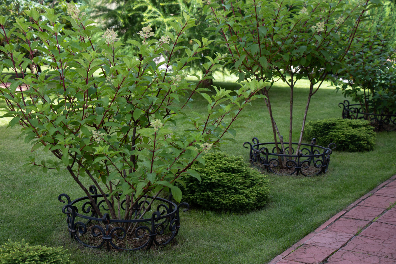 Французский садик в поселке Рыбаки Дмитровское шоссе