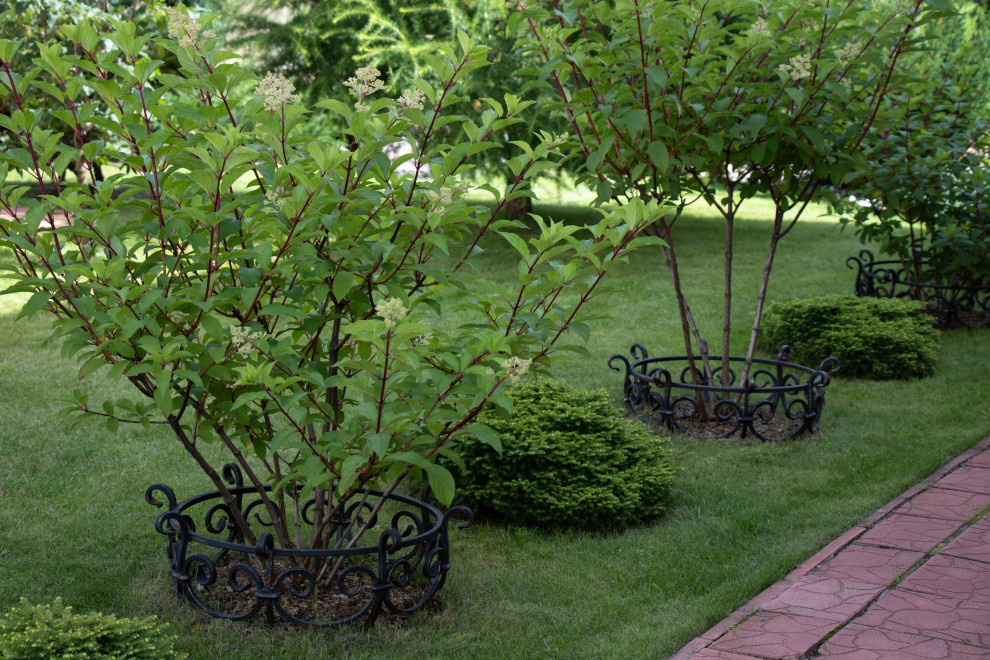 Французский садик в поселке Рыбаки Дмитровское шоссе