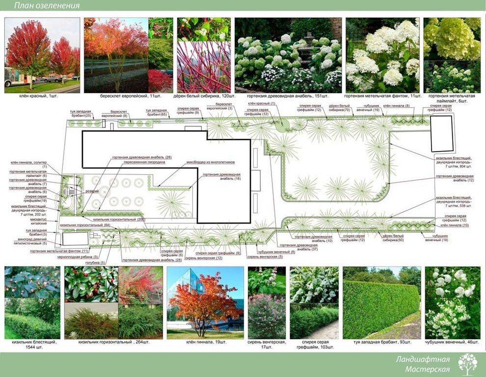 Обложка проекта: Эскизный вариант проекта "д. Маслово», 35 соток