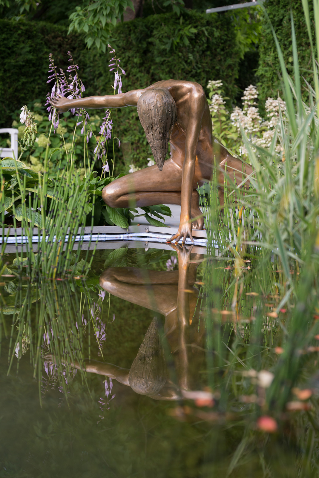 Сад Оксаны Хебородовой Гран-При на Москоу Флауер Шоу ( "Cад Вячеслава Зайцева")