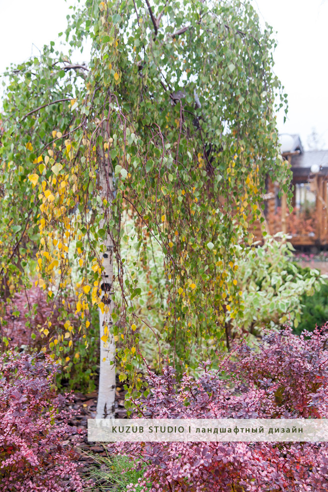 РЕАЛИЗАЦИЯ