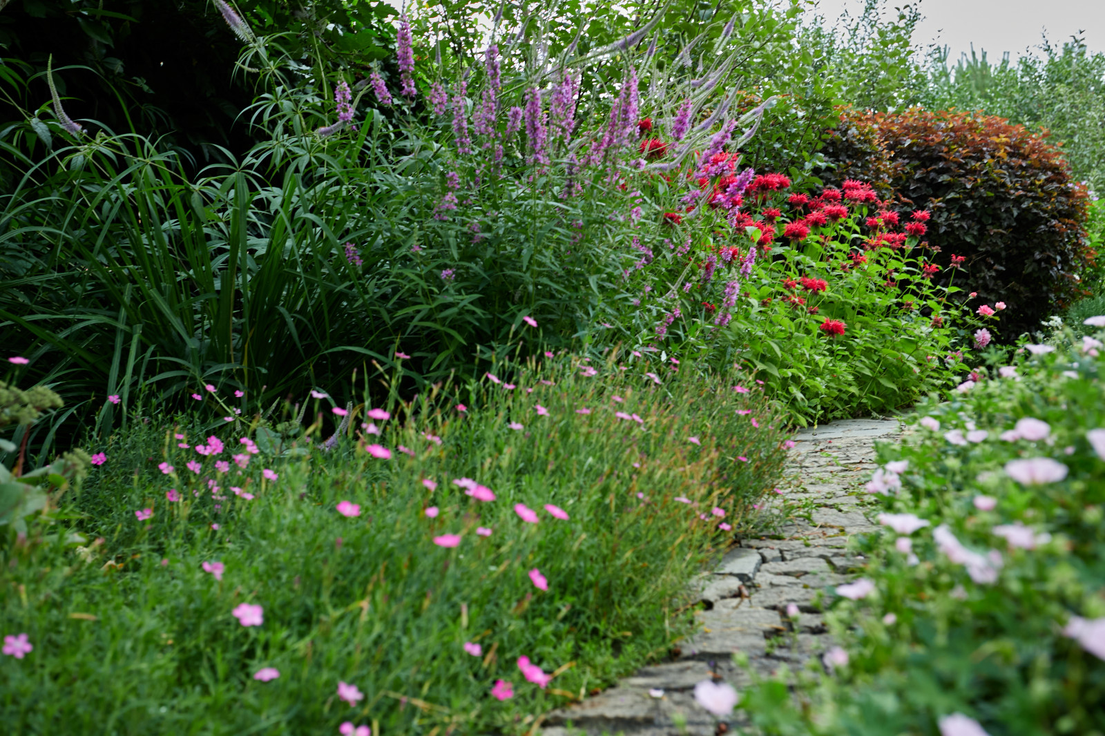 Сад свежести