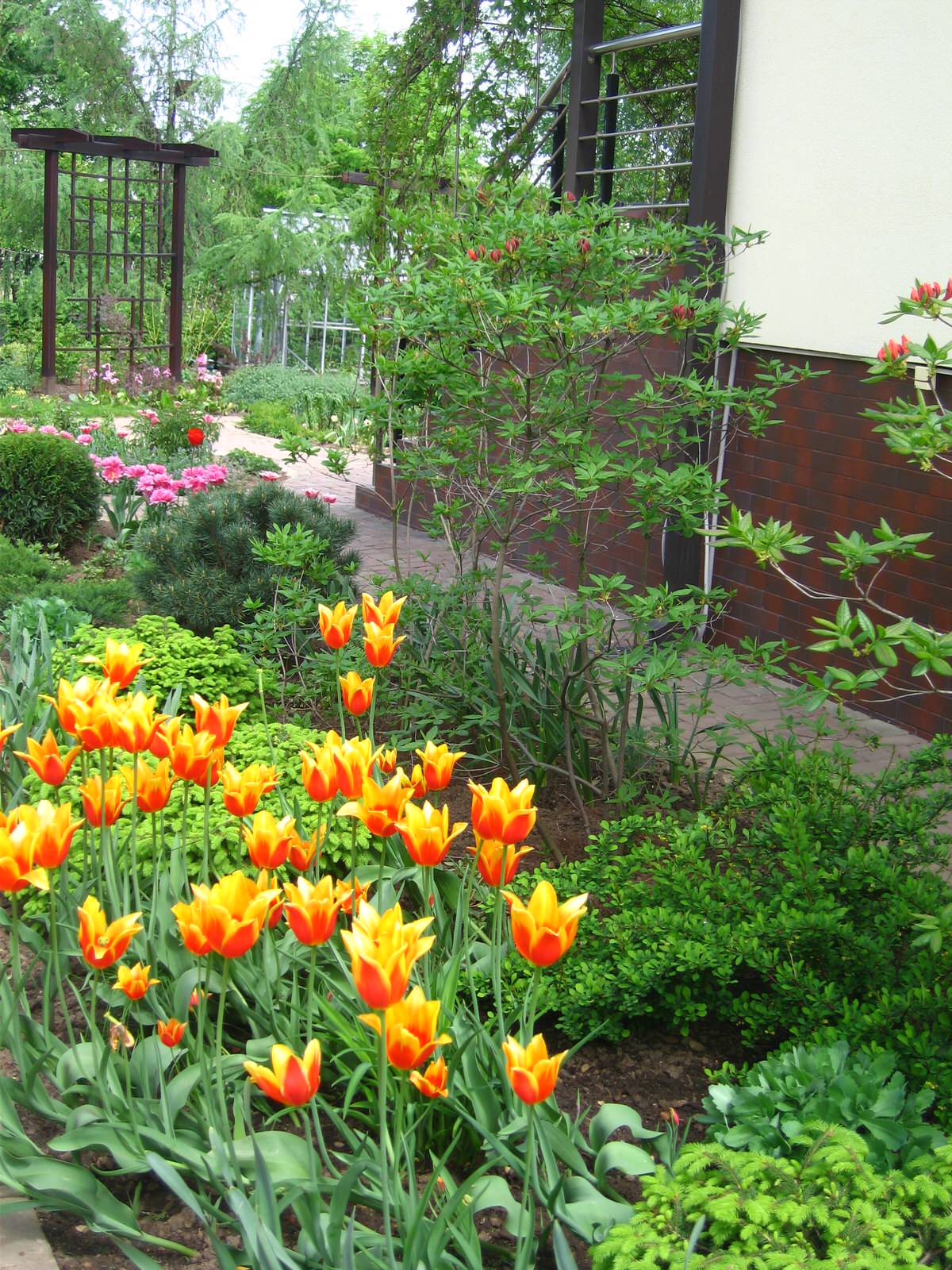 Обложка проекта: Молодой весны гонцы