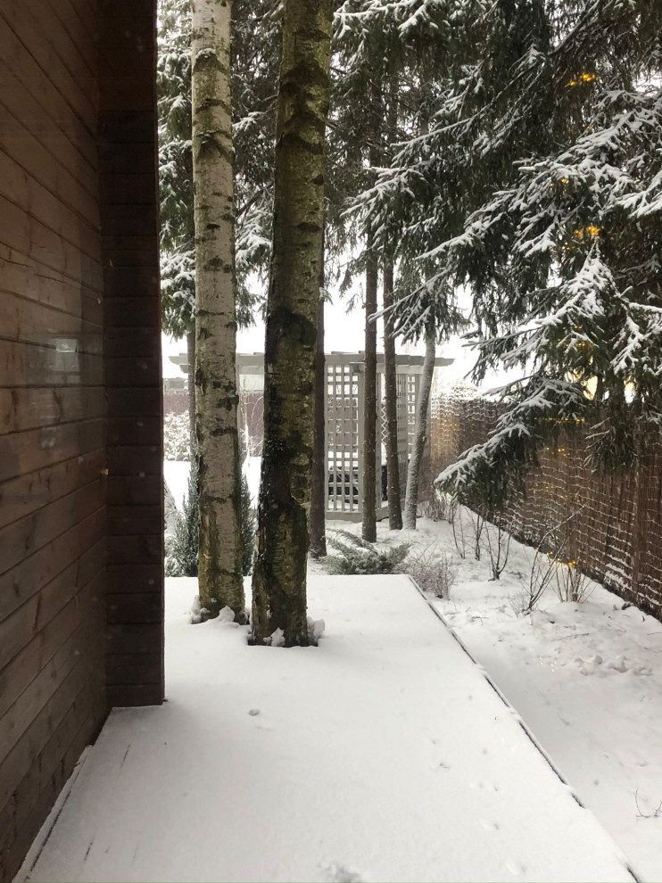 Сад "Хюгге" зимой