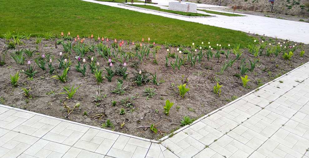 Цветники на территории храма