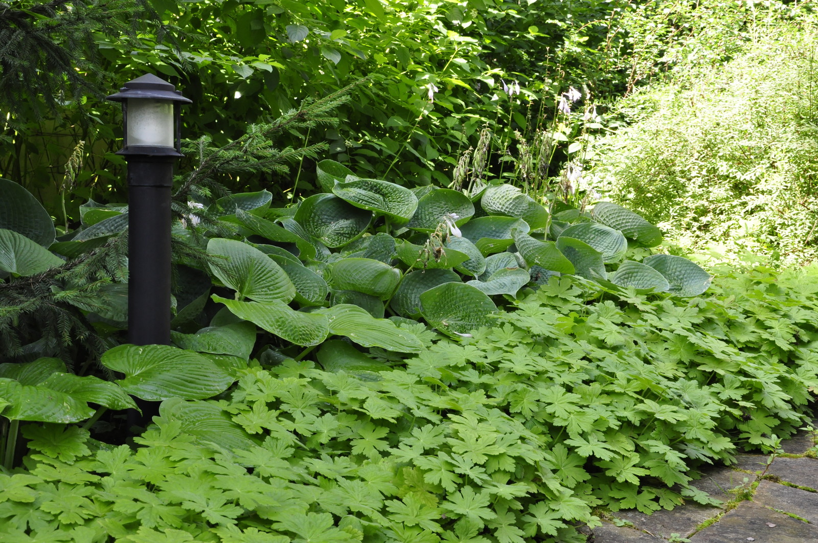 кп. "Архангельское" - Уход за садом - 100% качество!