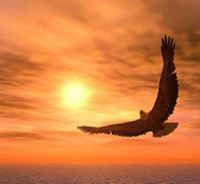 Андрей Краснюк