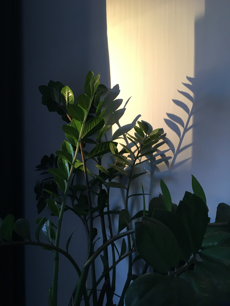 1к.кв. 39,7кв.м. в МО ЖК "Эко-Видное"