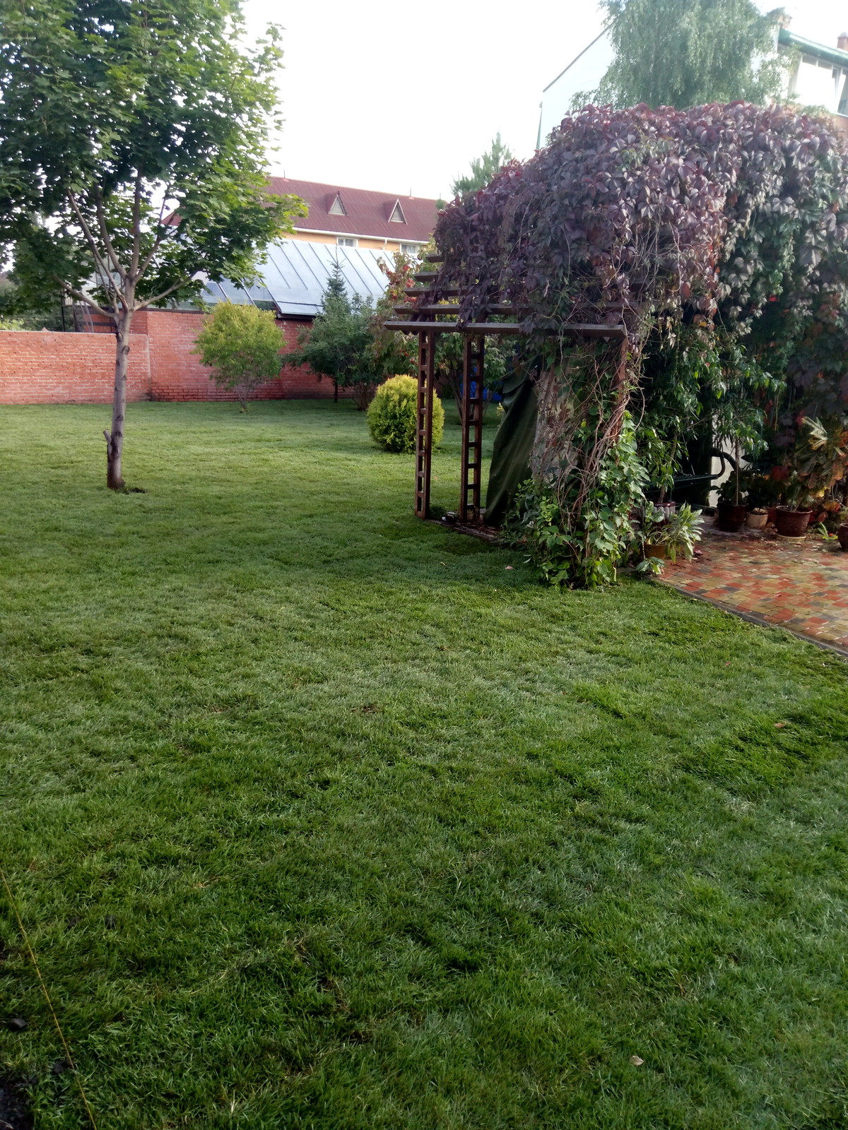 Дмитрий Ломакин