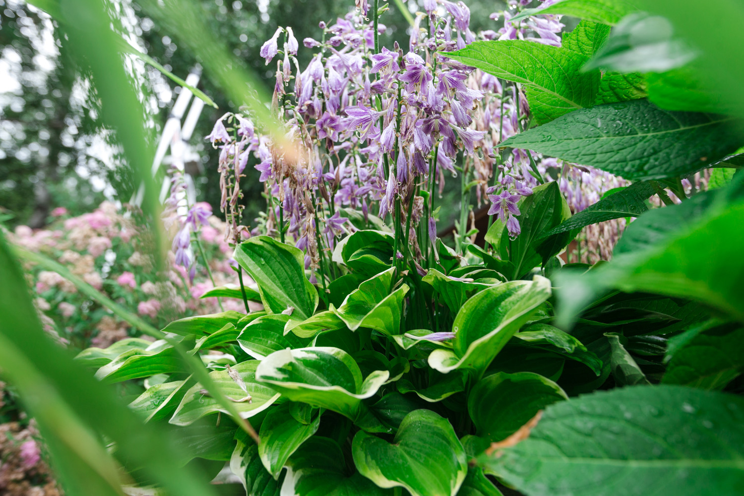 Экстерьер загородного дома