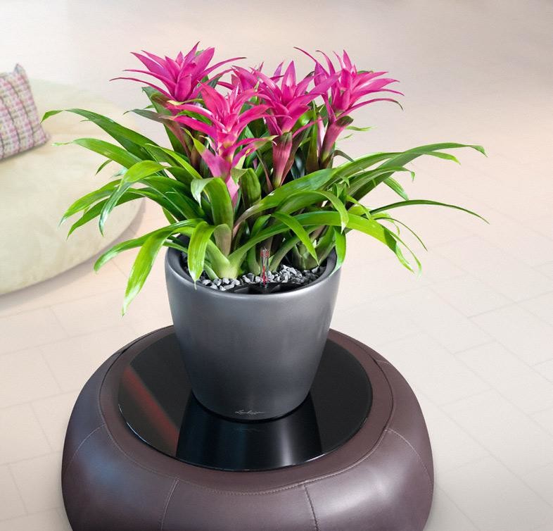 Лучший выбор