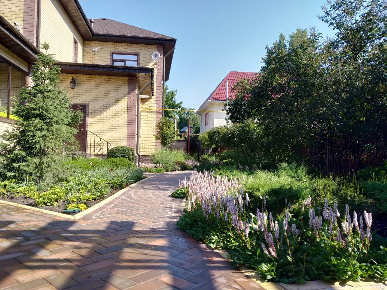 Сад в розовой дымке