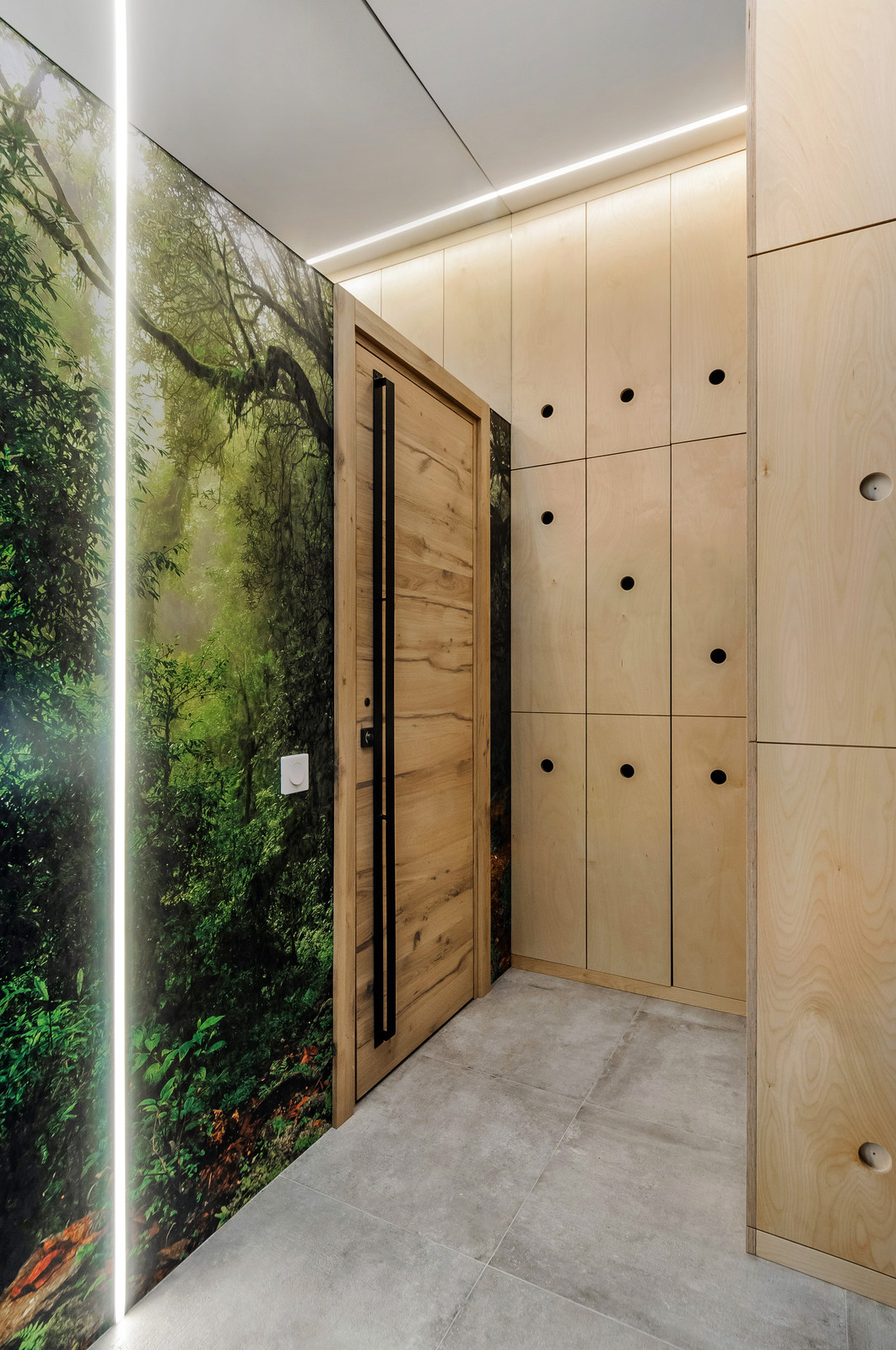 Городские джунгли.Шкаф в прихожей