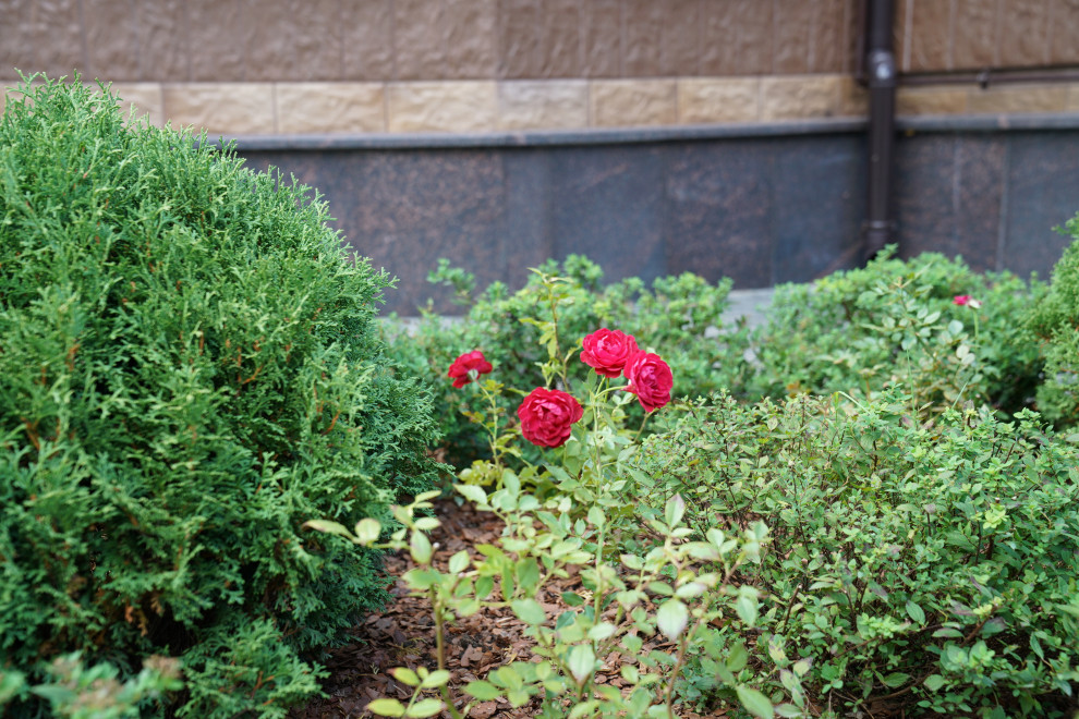 Круговорот цвета. Дубровка 2021