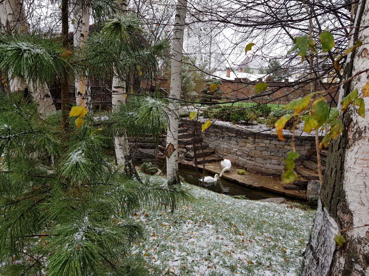 Берега загородной жизни