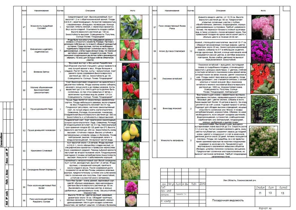 Ландшафтное проектирование