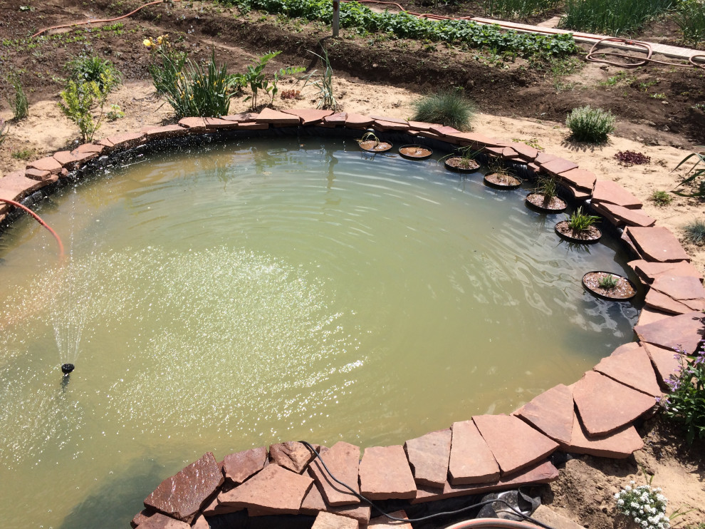 Садовый пруд с мостиком