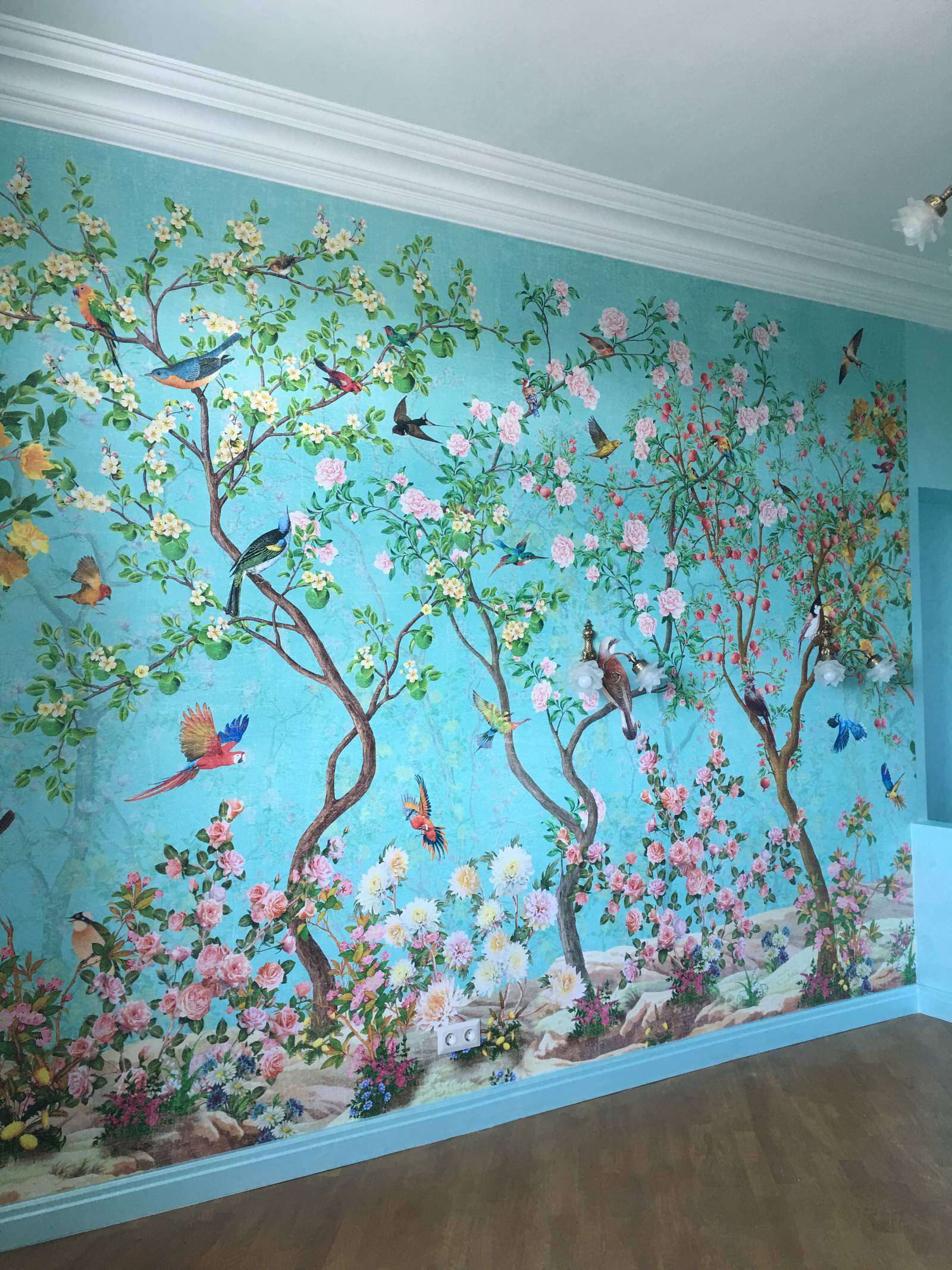 Райский сад в отдельно взятой квартире