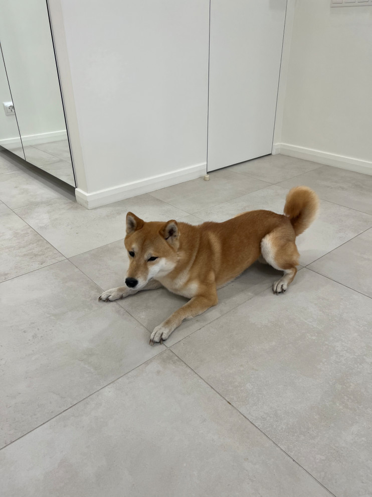 Камские огни 2. Реализация.