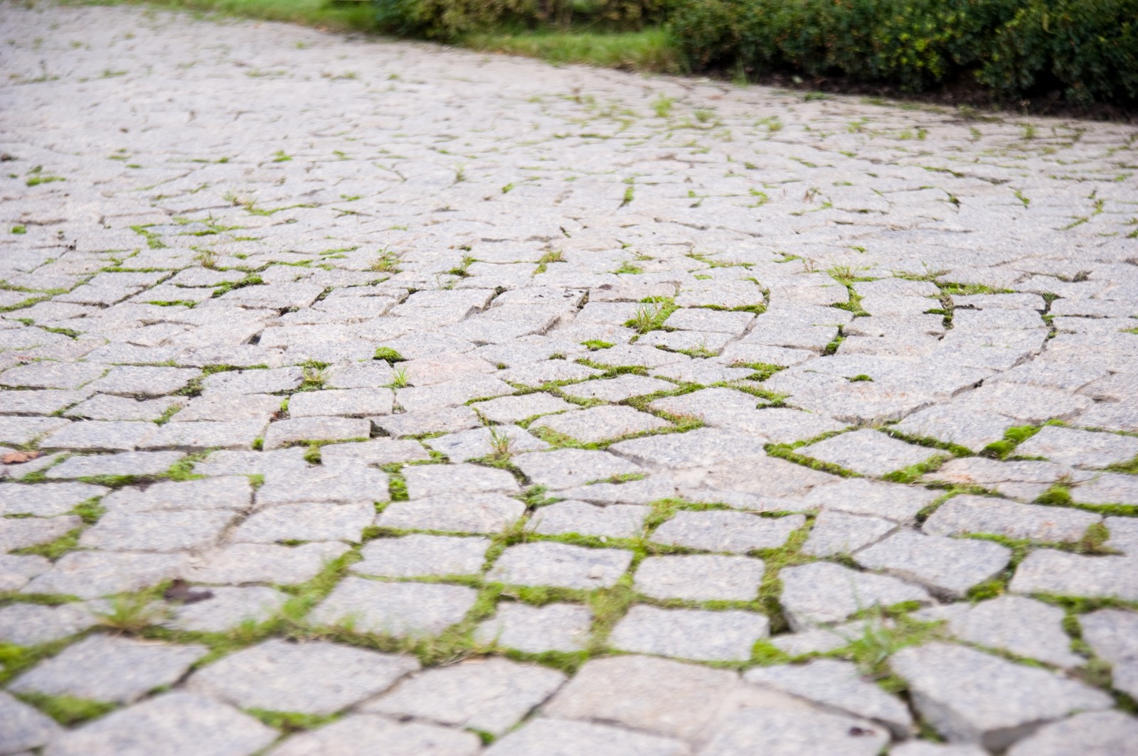 Наши работы