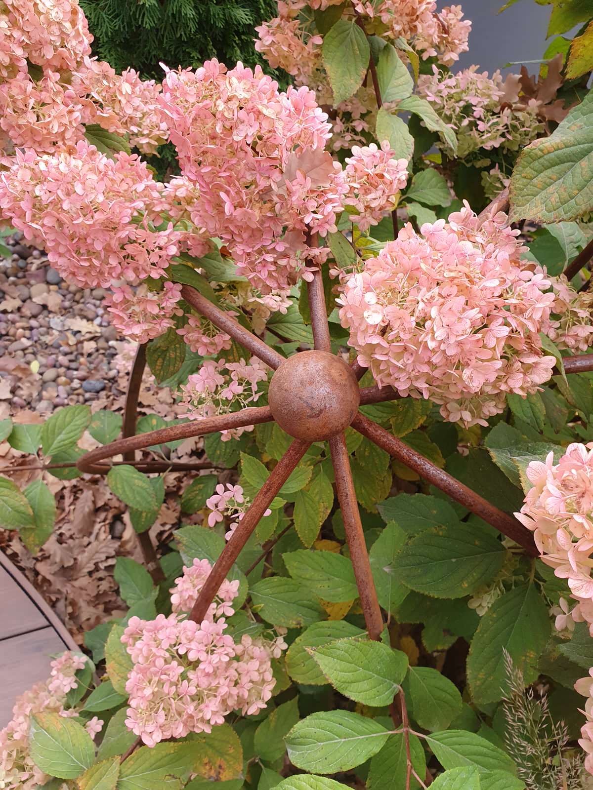 Современный сад