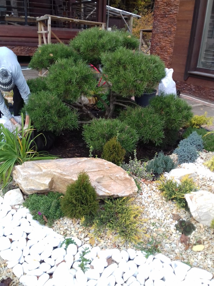 Дизайн клумбы с бонсаем. Посадка крокусов.