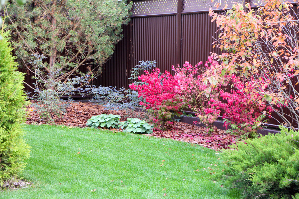 Петровское, 2018-2020 гг.