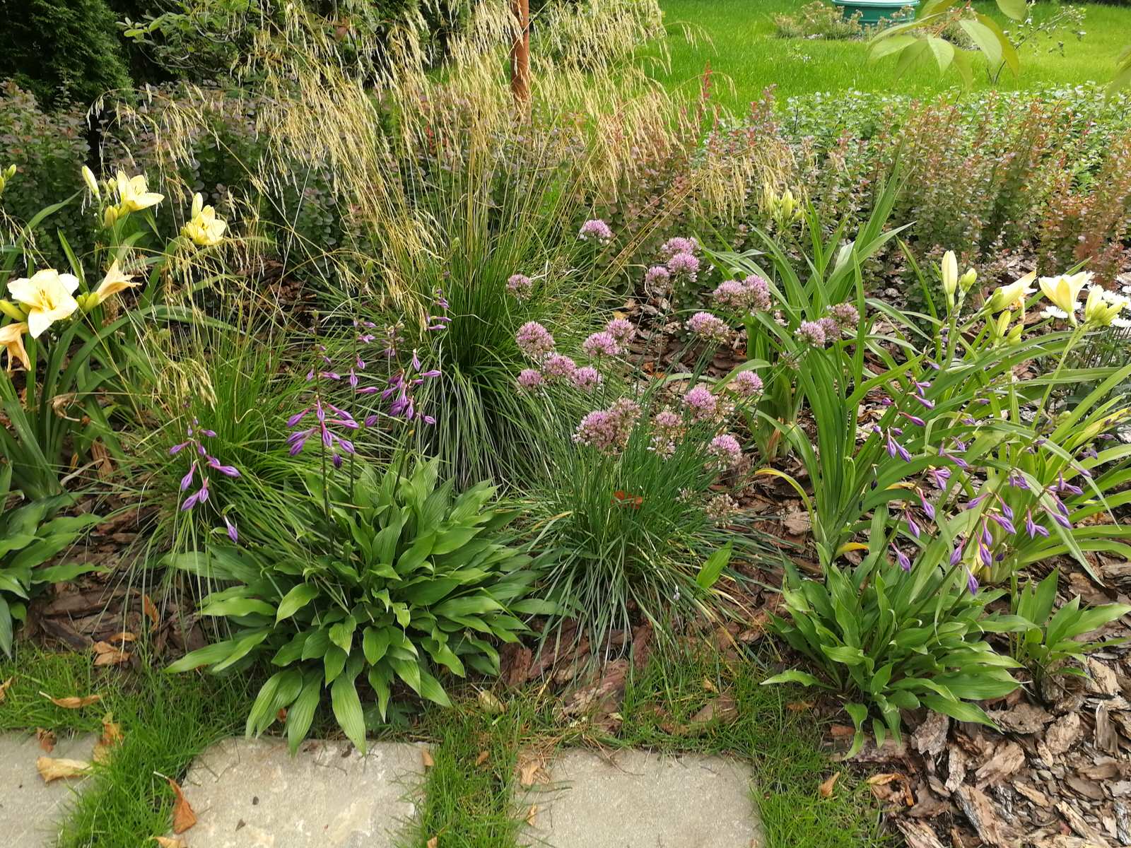 Благоустройство участка 20 соток в КП Пестово