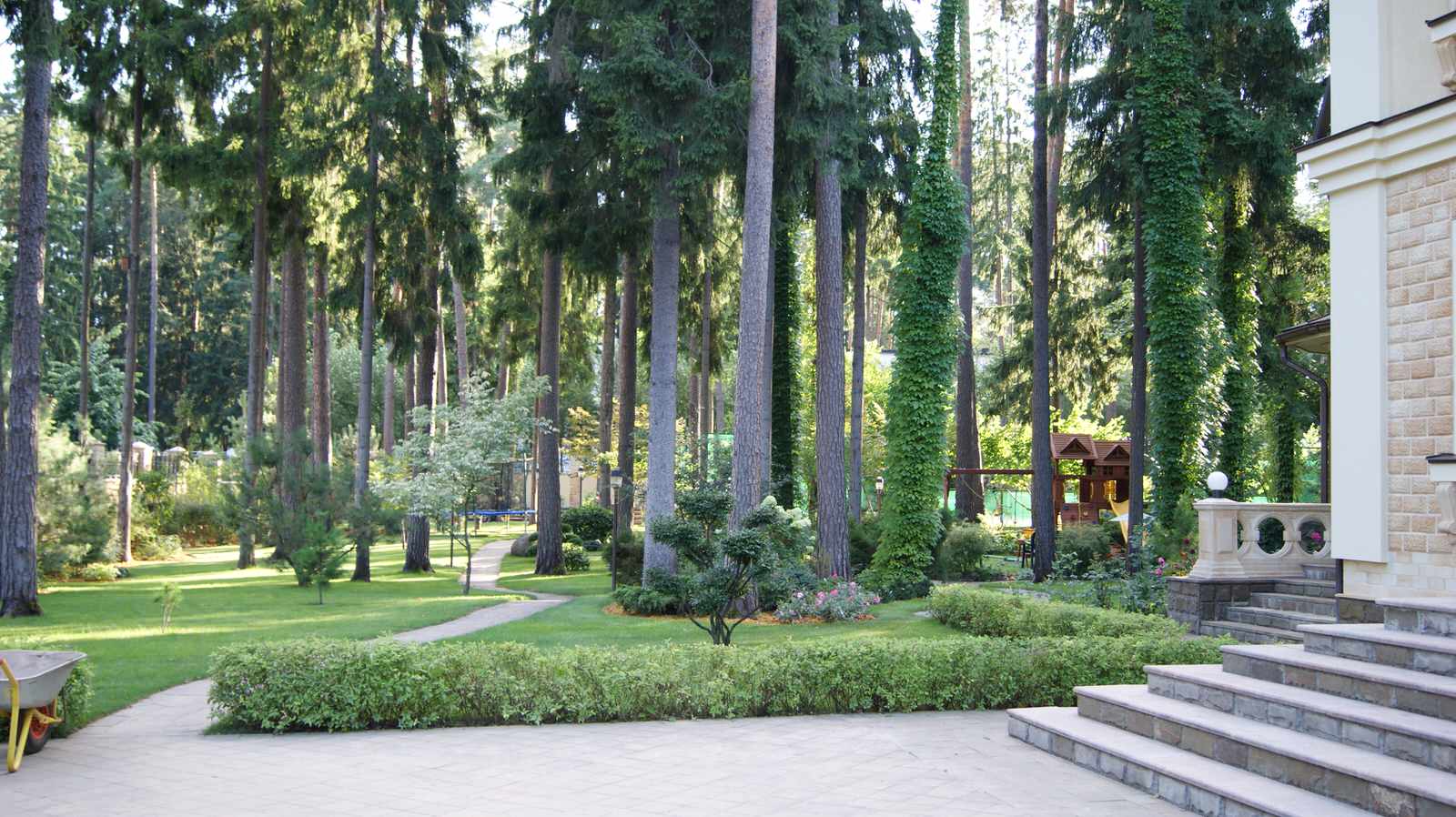 Сосновый бор