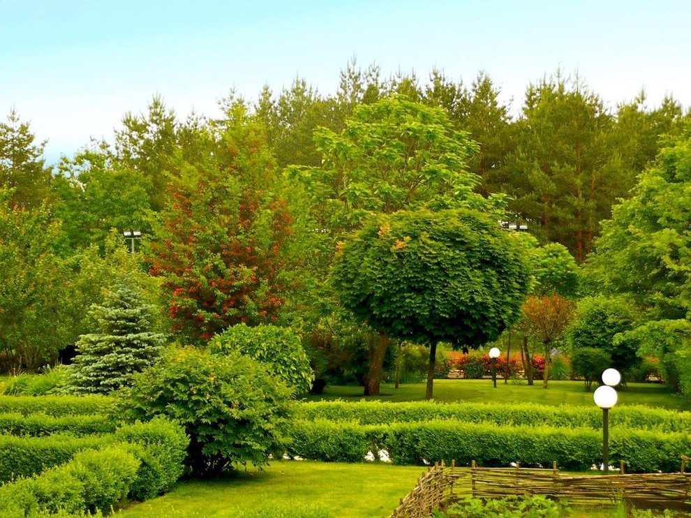 Обложка проекта: Игра на контрасте в ландшафтном проекте сада