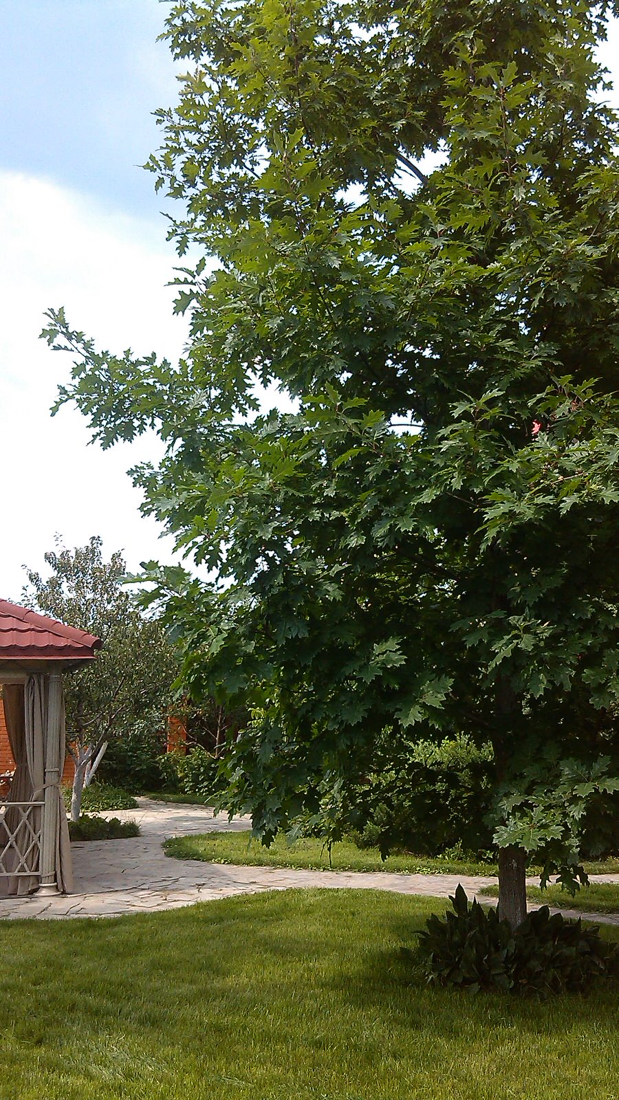 Домик среди старых дач