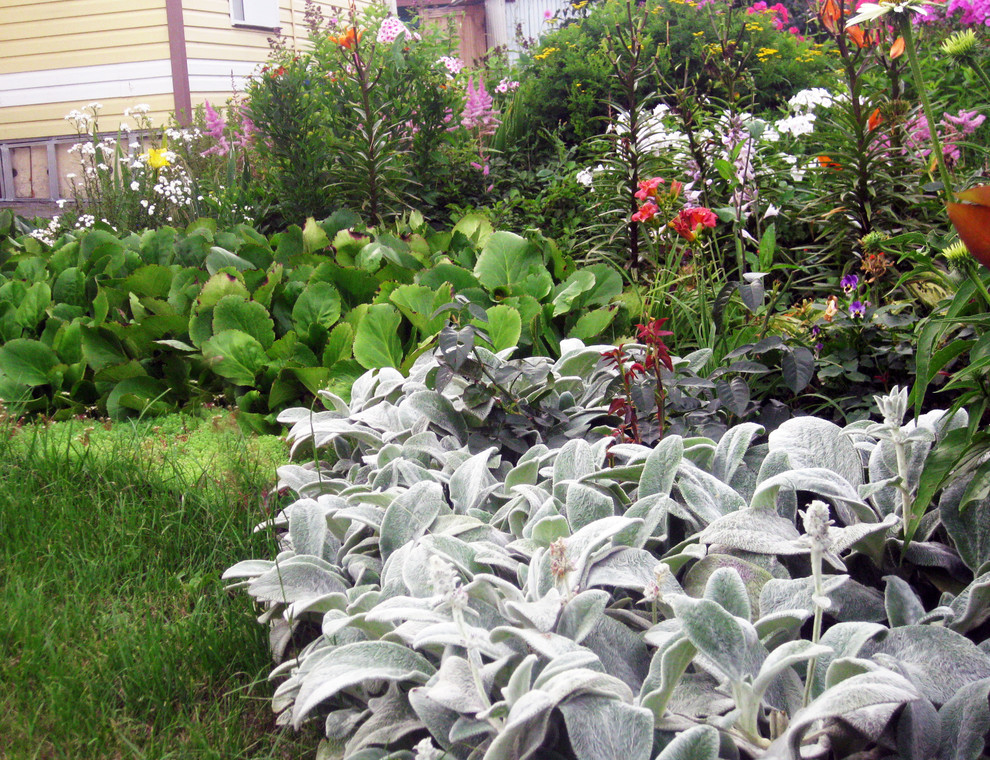 Цветник из многолетников