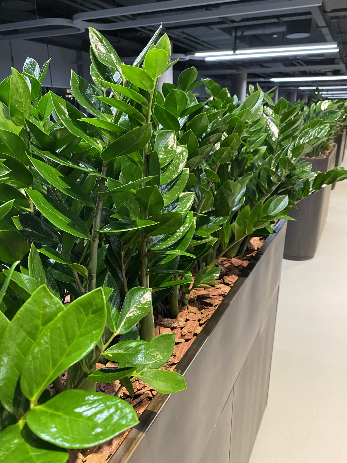 Андрей Васенко